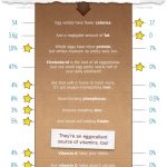 Whole-eggs-–-61-fat